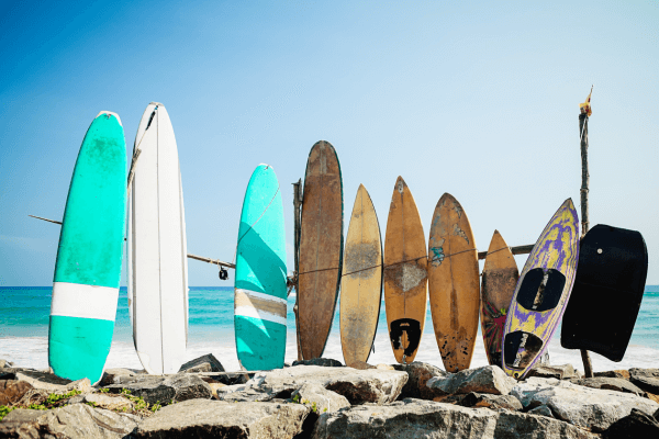 Várias pranchas de surf de diferentes tamanhos encostadas em uma árvore na areia, com uma vista serena da praia ao fundo. A imagem é para do Guia Completo para Iniciantes no Surf