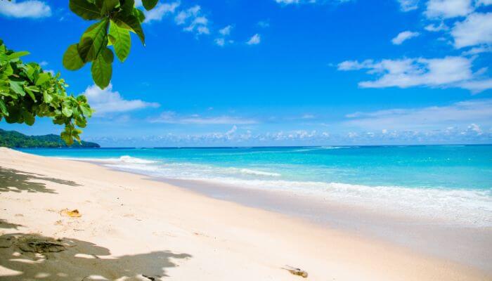 Praia deserta com água azul cristalina, areia branca, ondas perfeitas e mata ao fundo criando sombras impressionantes.